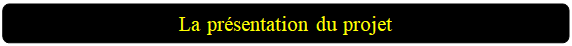 Rectangle&nbsp;: coins arrondis: La pr�sentation du projet

