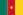 Drapeau du Cameroun